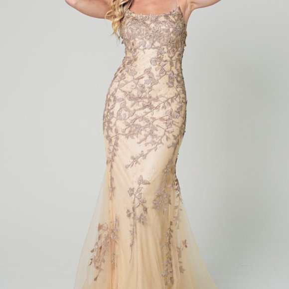 Amelia Couture Dresses & Skirts - Champagne Tulle Long Maxi Open Lace up Back Evening Formal Party Prom Dress A799